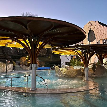 Spa Residence Carbona Heviz Apartments Kakadu 203 A 外观 照片